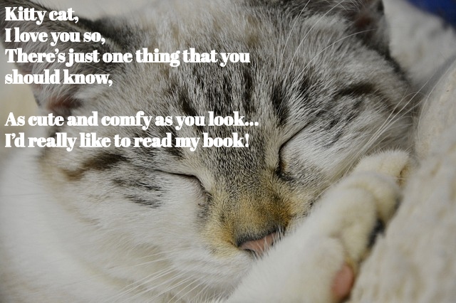 Poetry Friday: Kitty Cat